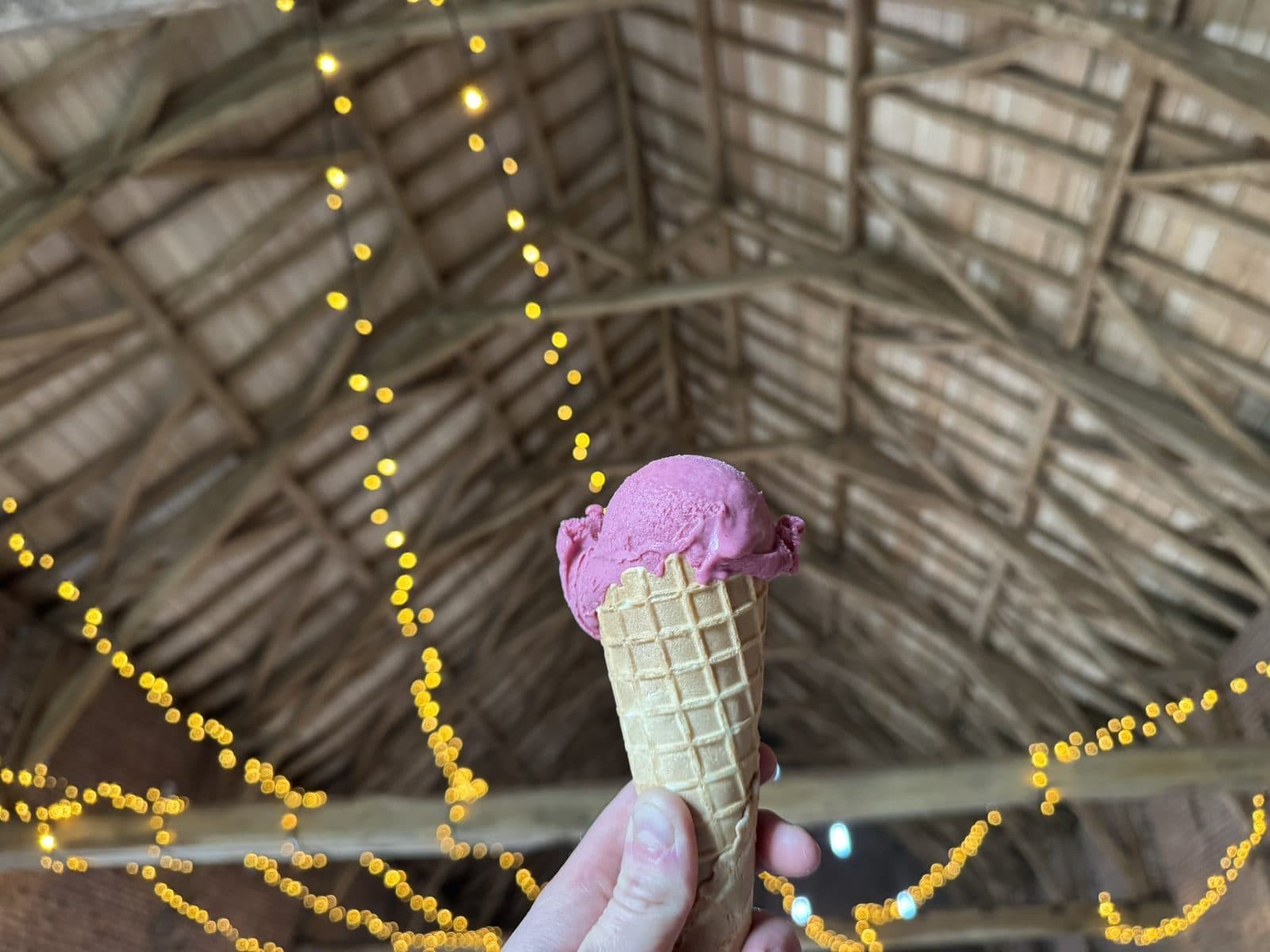 Een hoorntje met frambozensorbet, onder het houten dakgebinte van de schuur met lichtjes.